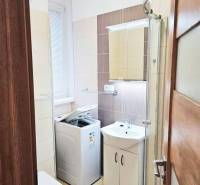 Badezimmer in einem Studio-Apartment mit Waschmaschine, Duschkabine und Waschbecken.