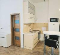 Einzimmerwohnung mit Kochnische, Bartresen und Boden in Holzoptik.