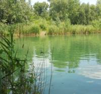 Der grüne See umgeben von Vegetation in Bratislava - Ružinov an der Studená bei der Hütte.