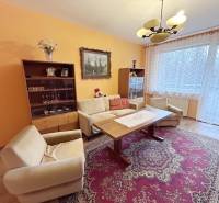 Wohnzimmer in einer Zweizimmerwohnung mit Holzboden und Teppich.