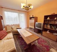 Wohnzimmer in einer Zweizimmerwohnung mit Holzboden und Retro-Möbeln.