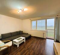 Wohnzimmer in einer 2-Zimmer-Wohnung mit Holzboden und Sofa.