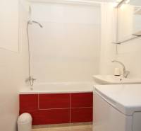 Badezimmer mit Badewanne, Waschbecken und Waschmaschine in einer Einzimmerwohnung.