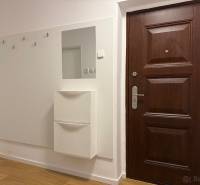 Eingangsbereich in einer 2-Zimmer-Wohnung mit dunklen Türen und einem Boden in Holzoptik.