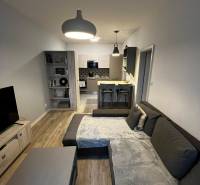 Wohnzimmer mit Küche in einer 2-Zimmer-Wohnung, graues Sofa, Boden mit Holzdekor.