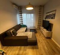 Wohnzimmer in einer 2-Zimmer-Wohnung mit einem bequemen Sofa und einem Boden in Holzoptik.