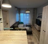 Wohnzimmer in einer Zweizimmerwohnung mit Sofa, Tisch und Holzboden.