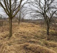 Grundstück zum Wohnen in Dubník in der Dubnícka-Straße, umgeben von Bäumen und Grasbewuchs.