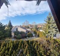 Der Garten des Einfamilienhauses mit Blick auf die Jelenecká-Straße in Nitra, umgeben von Grün.