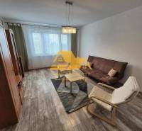 Wohnzimmer in einer 3-Zimmer-Wohnung mit Sofa, Sessel und Boden in Holzoptik.