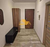 Gemütlicher Flur in einer 3-Zimmer-Wohnung mit Holzboden und einem Schrank.