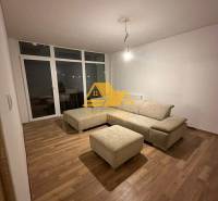 Wohnzimmer in einer 2-Zimmer-Wohnung mit einem Sofa und einem Boden in Holzoptik.