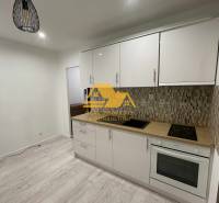 Küche in einer Einzimmerwohnung mit heller Küchenzeile und Boden in Holzoptik.