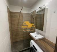 Badezimmer in einer Einzimmerwohnung mit Waschbecken, Duschkabine und Waschmaschine, Holzelemente.