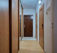 Flur in einer 2-Zimmer-Wohnung mit einem Boden in Holzoptik und einem Einbauschrank.