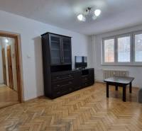 Wohnzimmer einer Zweizimmerwohnung mit Sofa, dunklen Möbeln und Holzboden.