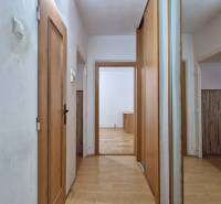 Der Flur einer 2-Zimmer-Wohnung mit Türen und Boden in Holzoptik.