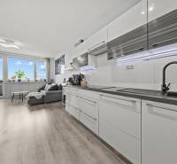 Küche und Wohnzimmer in einer 2-Zimmer-Wohnung mit Holzboden-Dekor.