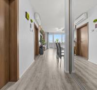 Innenraum einer 2-Zimmer-Wohnung mit Holzboden, Spiegel und Klimaanlage.