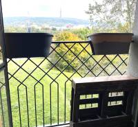 Balkon mit Blick auf Grünflächen und den Stadthorizont, Boden mit Holzdekor.
