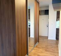 Eingangsbereich einer 3-Zimmer-Wohnung mit Holzboden und einem Spiegelschrank.