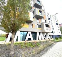 Ein Gebäude mit einer Aufschrift und einem Baum in der Nejedlého-Straße in Bratislava-Dúbravka.