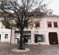 Geschäftsräume in der Hauptstraße in Eisenstadt mit Holzdekor, Baum und historischen Gebäuden.