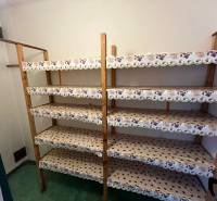 Stauraum in einer 3-Zimmer-Wohnung mit Holzregalen und grünem Boden.