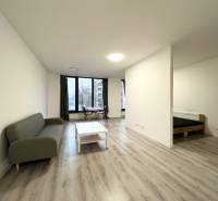 Einzimmerwohnung mit Holzboden, Sofa und Essecke.