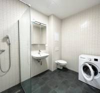 Badezimmer in einer Einzimmerwohnung mit Waschmaschine, Duschkabine, Waschbecken und Toilette.