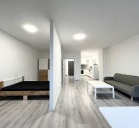 Innenraum einer Einzimmerwohnung mit Holzboden, Bett und Sofa.