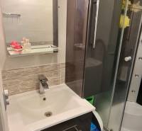 Badezimmer in einer 2-Zimmer-Wohnung mit Waschbecken und Duschkabine, dekorative Wandverkleidung.