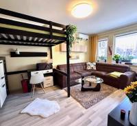 Wohnzimmer mit Etagenbett, Sofa und Holzboden in einer Einzimmerwohnung.