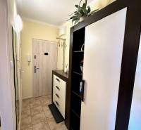 Ein gemütlicher Flur mit Möbeln und gemusterten Fliesen in einer Einzimmerwohnung.