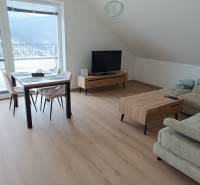 Wohnzimmer in einer Zweizimmerwohnung mit Holzboden, Esstisch und Sofa.