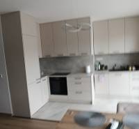 Küche in einer 2-Zimmer-Wohnung mit minimalistischen Schränken und einem Boden in Holzoptik.