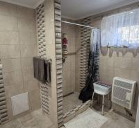 Ein Badezimmer in einem Einfamilienhaus mit Fliesen und einer Dusche, dekoriert mit Blumen.