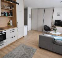 Innenraum einer 1-Zimmer-Wohnung mit grauem Sofa, Küchenzeile und Boden in Holzoptik.