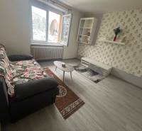 Wohnzimmer mit Sofa, Teppich und Regalen in einer Einzimmerwohnung.