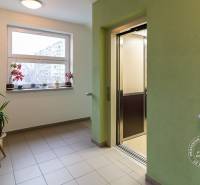 Flur mit Aufzug und Blumen, Kazanská-Straße, Bratislava - Podunajské Biskupice.