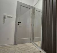 Innenraum eines Einzimmerapartments mit einer Garderobe und weißen Türen auf einem Boden mit Holzdekor.