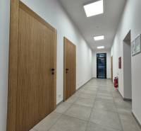 Ein Flur mit hellen Fliesen, Holztüren und Deckenleuchten in einer Einzimmerwohnung.