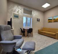 Wohnzimmer einer Einzimmerwohnung mit Sessel, Sofa und Tisch, Boden mit Holzdekor.