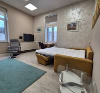 Wohnbereich einer Einzimmerwohnung mit Bett, Fernseher und Sessel auf einem Boden mit Holzdekor.