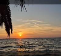 Sonnenuntergang über dem Meer, Palmblätter im Vordergrund, Wertschätzungsschilder für Immobilien.