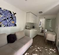 Wohnzimmer eines Einfamilienhauses mit Sofa, Küchenzeile und dekorativer Kunst an der Wand.