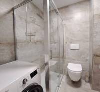 Badezimmer mit Waschmaschine, Duschkabine und Hänge-WC in einer 2-Zimmer-Wohnung.