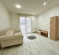 Wohnzimmer in einer 2-Zimmer-Wohnung mit Sofa, Schrank und Boden in Holzoptik.