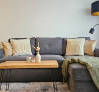 Ein stilvolles Wohnzimmer in einer Einzimmerwohnung mit einem grauen Sofa und einem Holztisch.