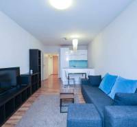 Wohnzimmer mit Sofa und Fernseher in einer 2-Zimmer-Wohnung, Boden mit Holzdekor.